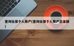 查询社保个人账户(查询社保个人账户总金额)