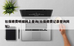 社保缴费明细网上查询(社保缴费记录查询网址)