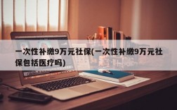 一次性补缴9万元社保(一次性补缴9万元社保包括医疗吗)