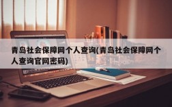 青岛社会保障网个人查询(青岛社会保障网个人查询官网密码)