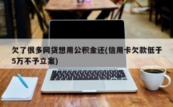 欠了很多网贷想用公积金还(信用卡欠款低于5万不予立案)