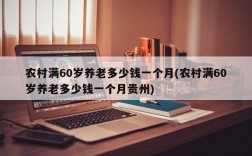 农村满60岁养老多少钱一个月(农村满60岁养老多少钱一个月贵州)