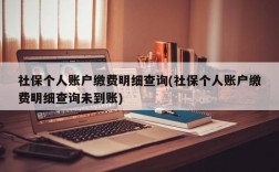 社保个人账户缴费明细查询(社保个人账户缴费明细查询未到账)