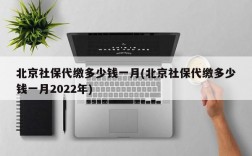 北京社保代缴多少钱一月(北京社保代缴多少钱一月2022年)