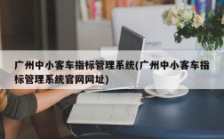 广州中小客车指标管理系统(广州中小客车指标管理系统官网网址)