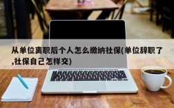 从单位离职后个人怎么缴纳社保(单位辞职了,社保自己怎样交)