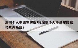 深圳个人申请车牌摇号(深圳个人申请车牌摇号查询系统)