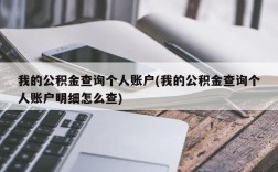 我的公积金查询个人账户(我的公积金查询个人账户明细怎么查)