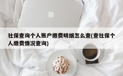 社保查询个人账户缴费明细怎么查(查社保个人缴费情况查询)