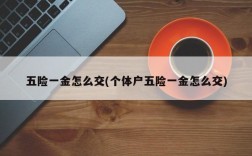 五险一金怎么交(个体户五险一金怎么交)