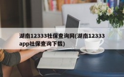 湖南12333社保查询网(湖南12333app社保查询下载)