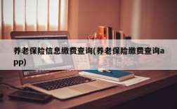 养老保险信息缴费查询(养老保险缴费查询app)