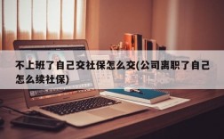 不上班了自己交社保怎么交(公司离职了自己怎么续社保)