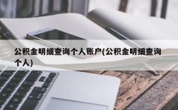 公积金明细查询个人账户(公积金明细查询 个人)