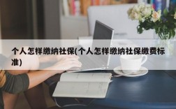 个人怎样缴纳社保(个人怎样缴纳社保缴费标准)