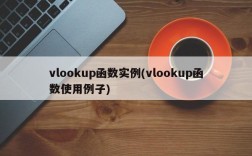 vlookup函数实例(vlookup函数使用例子)