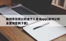 郴州市住房公积金个人查询app(郴州公积金查询官网下载)