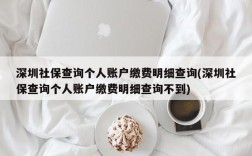 深圳社保查询个人账户缴费明细查询(深圳社保查询个人账户缴费明细查询不到)