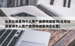 北京社保查询个人账户缴费明细查询(北京社保查询个人账户缴费明细查询怎么查)