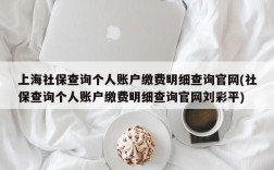 上海社保查询个人账户缴费明细查询官网(社保查询个人账户缴费明细查询官网刘彩平)