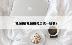 社保税(社保税务局统一征收)