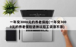 一年交3000元的养老保险(一年交3000元的养老保险退休以后工资涨不涨)