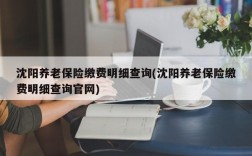 沈阳养老保险缴费明细查询(沈阳养老保险缴费明细查询官网)