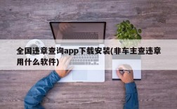 全国违章查询app下载安装(非车主查违章用什么软件)