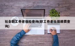 社会职工养老保险查询(职工养老社保缴费查询)