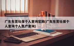 广东东莞社保个人查询官网(广东东莞社保个人查询个人账户查询)