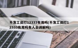 不发工资打12333有用吗(不发工资打12333有用吗有人会调解吗)