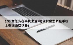 公积金怎么在手机上查询(公积金怎么在手机上查询缴费记录)