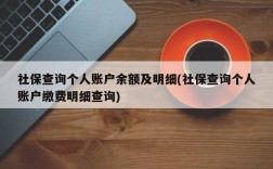 社保查询个人账户余额及明细(社保查询个人账户缴费明细查询)