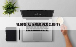 社保费(社保费缴纳怎么操作)