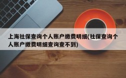 上海社保查询个人账户缴费明细(社保查询个人账户缴费明细查询查不到)