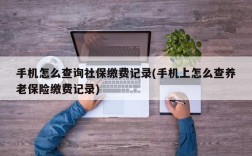 手机怎么查询社保缴费记录(手机上怎么查养老保险缴费记录)