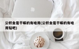 公积金是干嘛的有啥用(公积金是干嘛的有啥用贴吧)