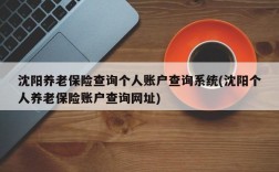 沈阳养老保险查询个人账户查询系统(沈阳个人养老保险账户查询网址)