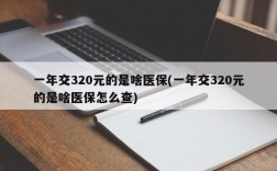 一年交320元的是啥医保(一年交320元的是啥医保怎么查)