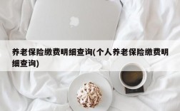 养老保险缴费明细查询(个人养老保险缴费明细查询)