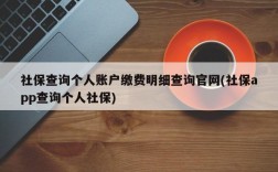 社保查询个人账户缴费明细查询官网(社保app查询个人社保)