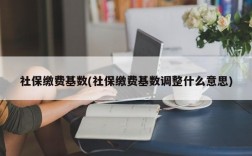 社保缴费基数(社保缴费基数调整什么意思)