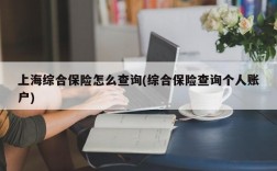 上海综合保险怎么查询(综合保险查询个人账户)