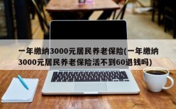 一年缴纳3000元居民养老保险(一年缴纳3000元居民养老保险活不到60退钱吗)