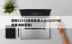 湖南12333官网登录入口(12333社保查询网官网)