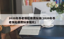 2020年养老保险缴费标准(2020年养老保险缴费标准图片)