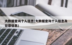 大数据查询个人信息(大数据查询个人信息及犯罪信息)