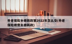 养老保险补缴新政策2022年怎么交(养老保险缴费补缴新政)