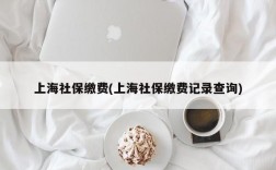 上海社保缴费(上海社保缴费记录查询)