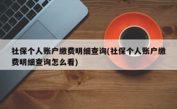 社保个人账户缴费明细查询(社保个人账户缴费明细查询怎么看)